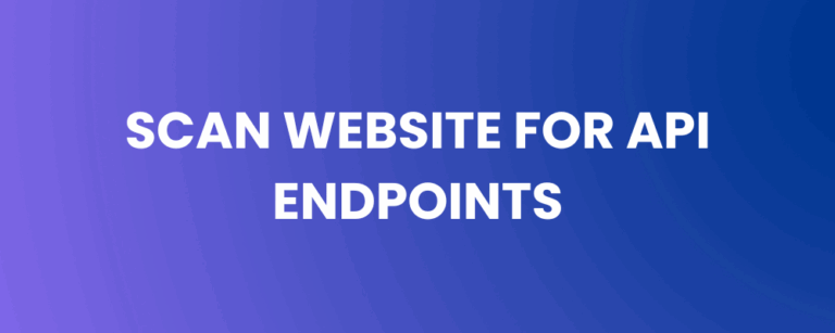 Scan Website for API Endpoints